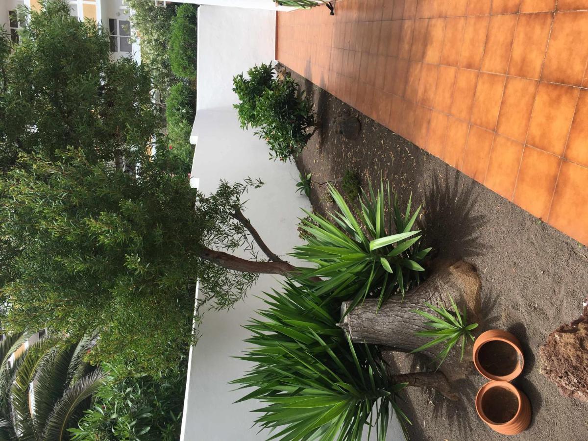 Apartamento Con Jardin Y Piscina B Puerto de la Cruz  Dış mekan fotoğraf